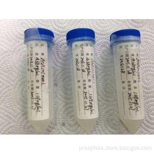 Rabbit Anti Strep A Polyclonal Antibody Infectious Disease